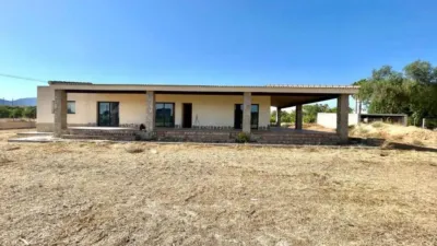Pis – Elx - Elche - Vista 3