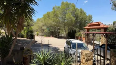 Pis – Orihuela, Los Desamparados - Vista 5