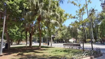 Pis – Orihuela - Vista 3