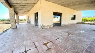 Pis – Elx - Elche - Vista 4