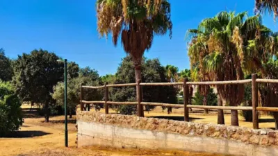 Chalet en Avenida de la Lebrija photo 18