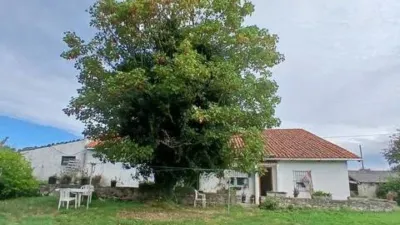 Rustic house in Plentzia photo 12