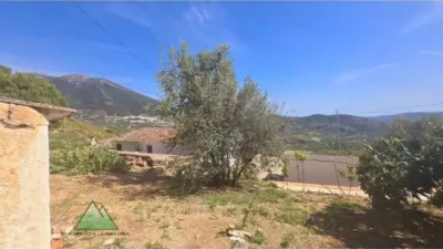 Rustic house in Alcaucín photo 17