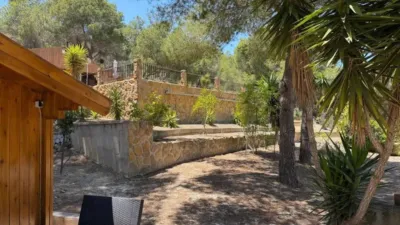 Pis – Orihuela, Los Desamparados - Vista 3