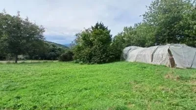 Rustic house in Plentzia photo 17