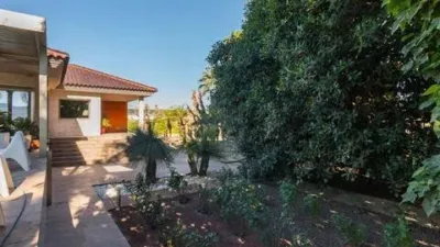 Chalet en Los Ramos photo 63