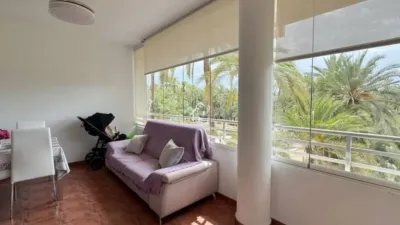 Apartment in Altabix photo 8