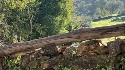Rustic property in Cortelazor photo 9