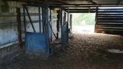 Rustic house in Plentzia photo 55