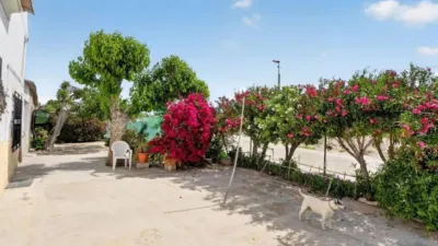 Piso – Orihuela - Vista 5