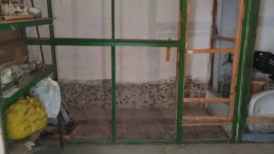 Chalet in Villanueva de La Reina photo 17