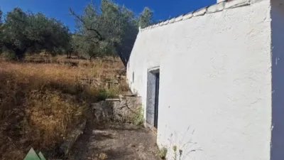 Rustic house in Alcaucín photo 3