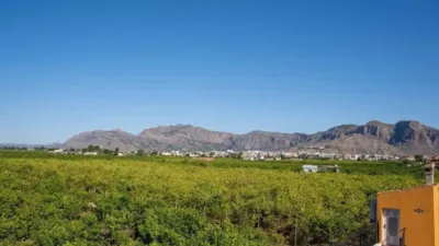 Piso – Orihuela, Los Desamparados - Más