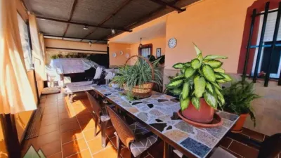 Chalet in Alcaucín photo 16