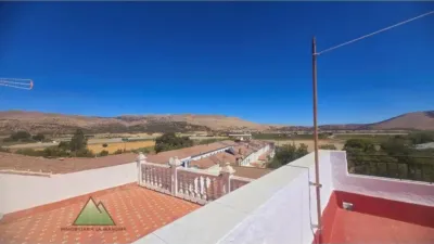 Apartment in Zafarraya photo 20