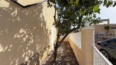 Pis – Torrevieja, Cabo Cervera-Playa la Mata - Vista 3