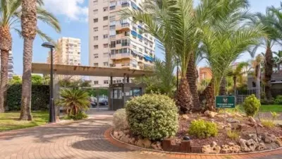 Apartment in Cabo de la Huerta photo 30