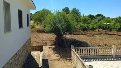 Chalet in Almoguera photo 30
