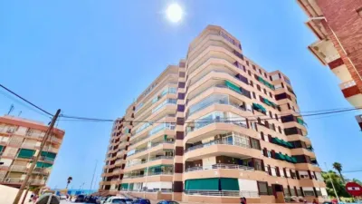 Pis – Torrevieja - Vista 2