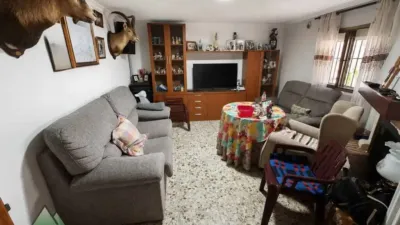 Chalet in Alcaucín photo 5
