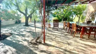 Rustic house in Crevillent photo 41