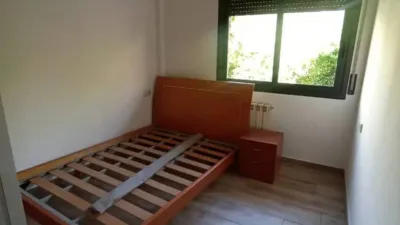 Apartment in Avià photo 14