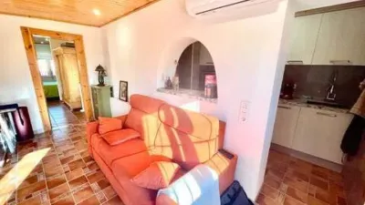 Rustic house in Crevillent photo 35