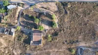 Rustic property in Caudete photo 7