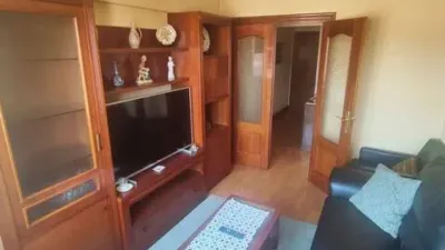 Apartment in Valle de Trapagaran photo 10