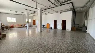 Chalet in Formentera del Segura photo 14