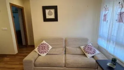 Apartment in Punta Calera photo 3
