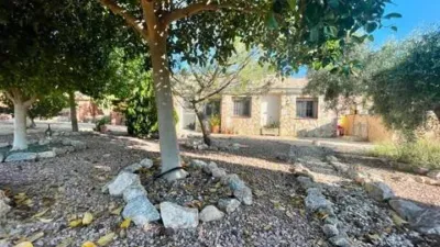 Rustic house in Crevillent photo 28
