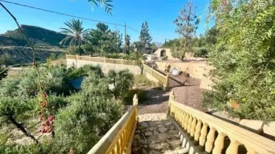 Rustic house in Crevillent photo 44