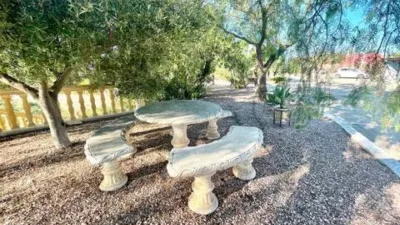 Rustic house in Crevillent photo 43