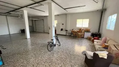 Chalet in Formentera del Segura photo 8