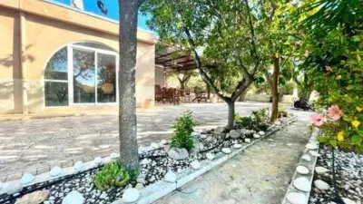 Rustic house in Crevillent photo 4