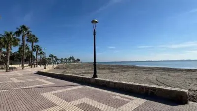 Apartment in Punta Calera photo 30