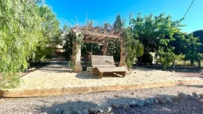 Rustic house in Crevillent photo 39