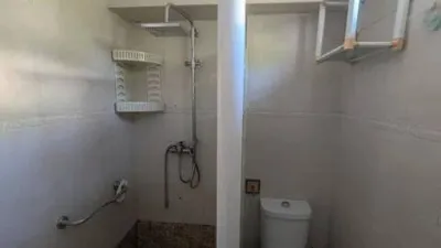 Apartment in San Pablo photo 5