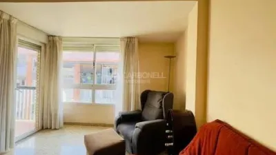 Apartment in Santa Rosa photo 6