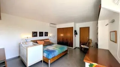 Chalet on Carrer de Miquel Martí i Pol photo 22