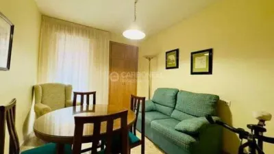 Apartment in Santa Rosa photo 28