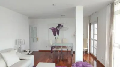 Apartment in Ribeira photo 3