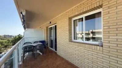 Apartment on Carrer del Fonoll photo 5