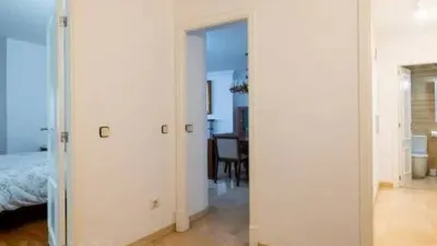 Apartment in Santa Catalina photo 4