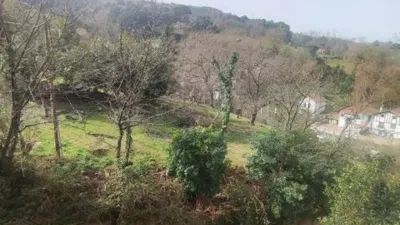 Apartment in Valle de Trapagaran photo 15
