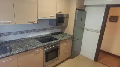 Apartment in Valle de Trapagaran photo 3
