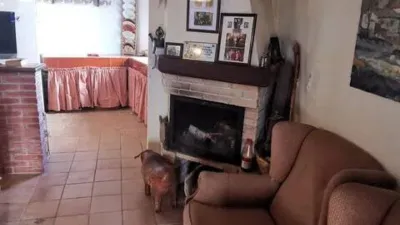 House in Vila-rodona photo 3