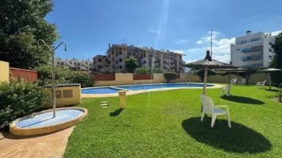 Pis - Vista 2
