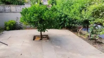 Terraced House in Poble de Llevant photo 20